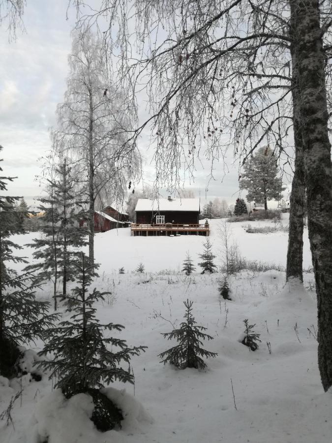 Vikersund Presterudveien 125 מראה חיצוני תמונה
