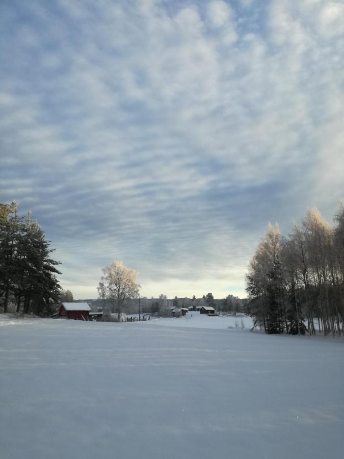 Vikersund Presterudveien 125 מראה חיצוני תמונה